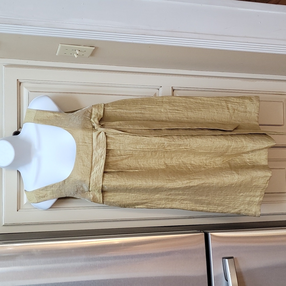The Limited Shiny Gold Dress